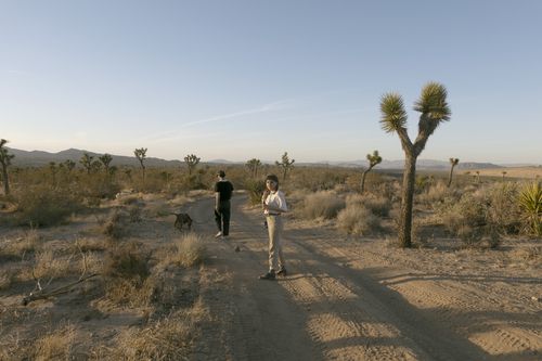 otherdesert1_500.jpg